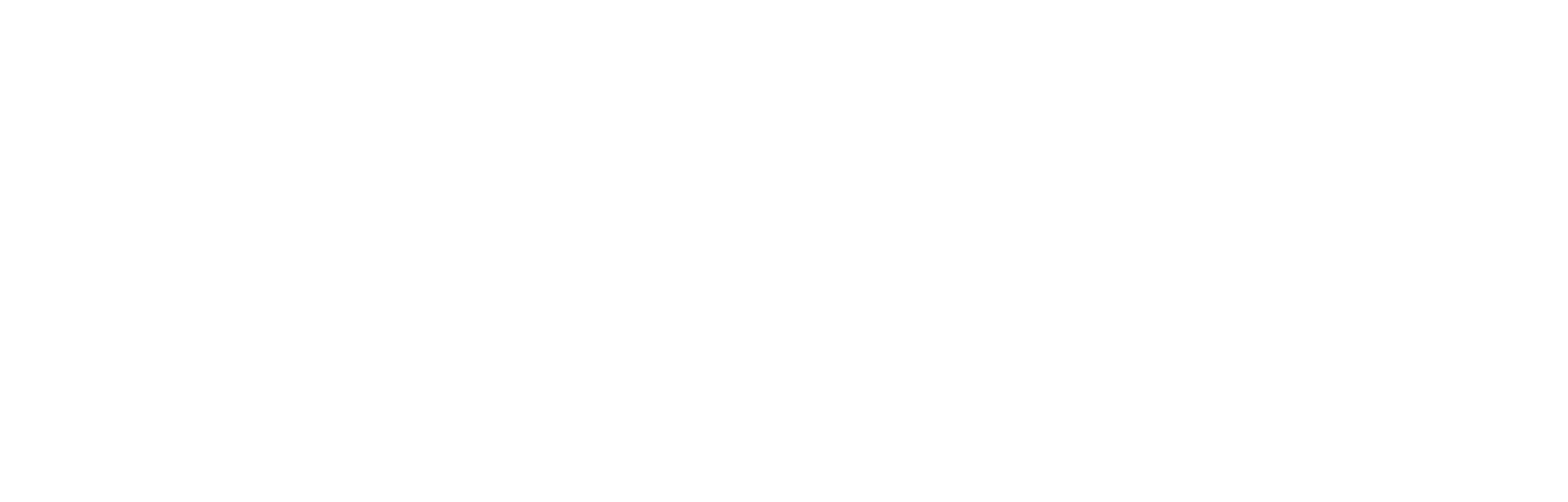 app logo branca